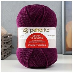 Пехорский текстиль Пряжа "Секрет успеха" 100% шерсть 250м/100гр (191-Ежевика) Пехорка