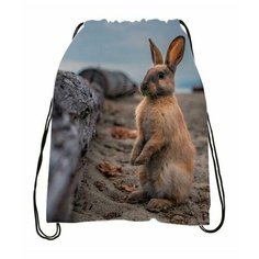 Мешок для обуви год Кролика №6 Anima Shop