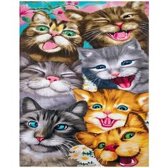 Картина по номерам Веселые котята 40х50 см Hobby Home