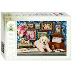 Большой пазл "Любимый хулиган", игра-головоломка для детей и взрослых, 3000 элементов Step Puzzle