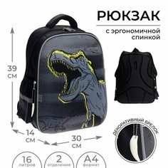 Рюкзак каркасный школьный Calligrata "Динозавры", 39 х 30 х 14 см
