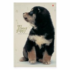 Альт Блокнот "Чудо щеночек" А5 160 листов