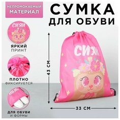 Сумка болоньевая для обуви «Сияй!», 33х43х0,5 см Art Fox