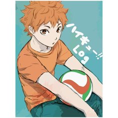 Картина по номерам на холсте Аниме Волейбол Хината - 765 30X40