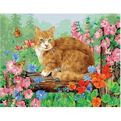 Картина по номерам Рыжий деревенский кот 40х50 см Hobby Home