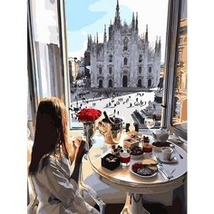 Картина по номерам Солнечное утро 40х50 см Hobby Home