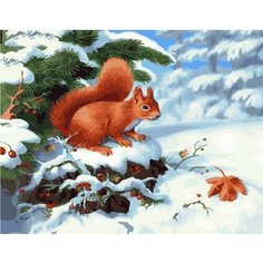 Картина по номерам Пушистая белочка 40х50 см Hobby Home