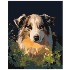 Картина по номерам Милая собака 40х50 см Hobby Home