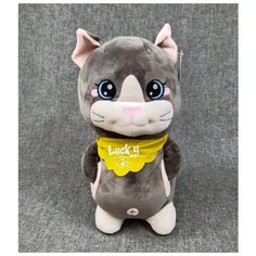 Мягкая игрушка Кот Lucky коричневый, с карманами 35 см Нет бренда