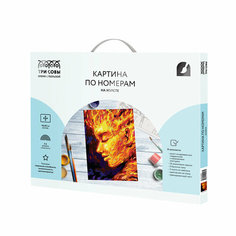 Картина по номерам на холсте ТРИ совы "Стихия. Огонь", 40*50, с акриловыми красками и кистями (арт. 335159)