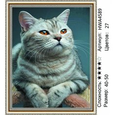Алмазная мозаика кошка на подрамнике 40х50см HWA4589 круглые стразы Нет бренда