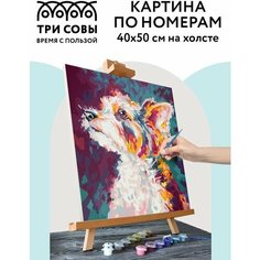 Картина по номерам на холсте ТРИ совы "Друг", 40*50, с акриловыми красками и кистями