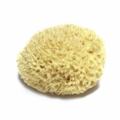 Губка морская натуральная 16 см № 5526 Boldrini