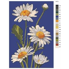 Картина по номерам W-73 "Цветущие ромашки" 60х90 Brushes Paints