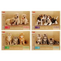 Альбом для рисования А4, 32 листа, на гребне, "Зверьё моё", обложка картон, блок 100 г/м², перфорация на отрыв, микс Hatber