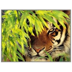 Алмазная мозаика «Тигр в засаде» 28×20см, 18 цветов Noname