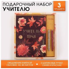 Подарочный набор «Учитель всегда прав»: ежедневник А5 и ручки софт-тач Noname