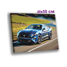 Картина по номерам 40х50 на холсте с подрамником