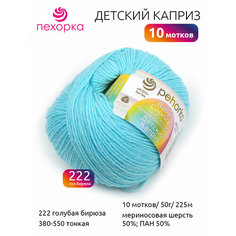 Пряжа для вязания ПЕХ Детский каприз (50% мериносовая шерсть, 50% фибра) 10х50г/225м цв.222 голубая бирюза Пехорка