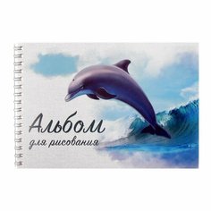 Альбом для рисования А5, 40 листов на гребне "Дельфин", обложка, мелованный картон, блок 100 г/м² Calligrata