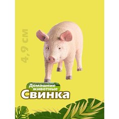 Фигурка животного Collecta, Свинья