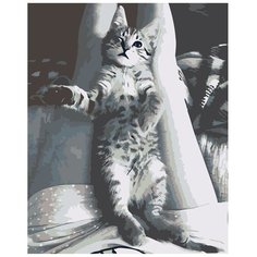 Картина по номерам, "Живопись по номерам", 60 x 75, Z6698