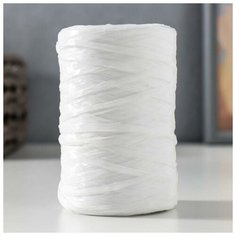 Пряжа "Для вязания мочалок" 100% полипропилен 400м/100±10 гр (белый матовый), 1шт Dreammart