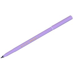 Набор фломастеров 10 цветов Centropen "Цветной мир" Pastel (линия 2мм, трехгранные, смываемые) блистер (7 7550 1087), 24 уп.