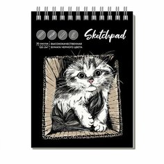 Скетчпад 98x128 мм, 30л на гребне Котик, мел карт, выб УФ лак, черн бл 120г/м2 9712747 Феникс