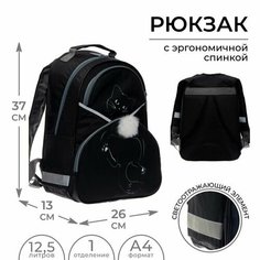 Рюкзак школьный, 37 х 26 х 13 см, эргономичная спинка, Calligrata АН "Котик"