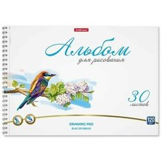 Альбом для рисования А4, 30л на спирали ErichKrause Birds, микроперфорация Нет бренда