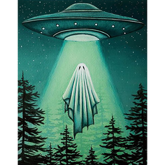 Картина по номерам Жуткий призрак 40х50 см АртТойс