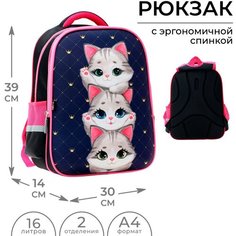 Рюкзак каркасный школьный Calligrata "Котята", 39 х 30 х 14 см