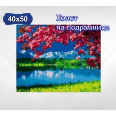 Картина по номерам на холсте на подрамнике 40х50 раскраска по номерам Умиротворение Цветной