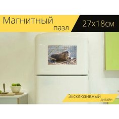 Магнитный пазл "Бобр, пруд, животное" на холодильник 27 x 18 см. Lots Prints