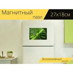 Магнитный пазл "Ель, еловые верхушки, дрейф" на холодильник 27 x 18 см. Lots Prints
