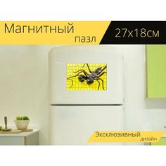 Магнитный пазл "Скорпион, бич скорпионов, уропыги" на холодильник 27 x 18 см. Lots Prints