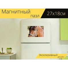 Магнитный пазл "Лошадиная голова, коричневый, лошадь" на холодильник 27 x 18 см. Lots Prints