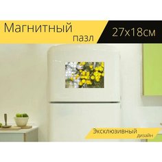 Магнитный пазл "Мимоза, цветы, филиал" на холодильник 27 x 18 см. Lots Prints