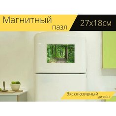 Магнитный пазл "Дорожка, лес, лесная тропа" на холодильник 27 x 18 см. Lots Prints