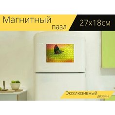 Магнитный пазл "Бабочка, насекомое, цветной" на холодильник 27 x 18 см. Lots Prints