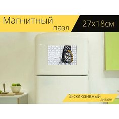 Магнитный пазл "Бабочка, насекомое" на холодильник 27 x 18 см. Lots Prints