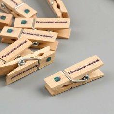 Декор для творчества дерево "Прищепка - Исполнения желаний" набор 10 шт Арт Узор