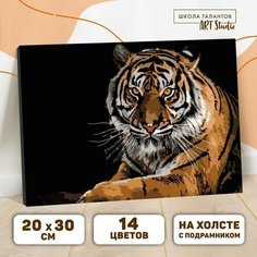 Подарочный набор для творчества . Картины по номерам . От 6 лет China