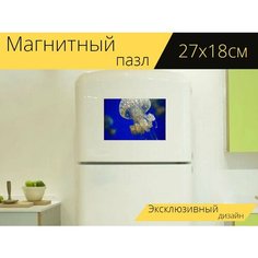 Магнитный пазл "Медуза, животные, подводный" на холодильник 27 x 18 см. Lots Prints