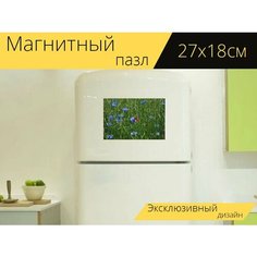 Магнитный пазл "Васильки, васильковое поле, цветок" на холодильник 27 x 18 см. Lots Prints