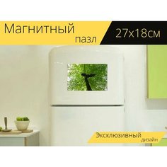 Магнитный пазл "Летучая мышь, фигура, лиственное дерево" на холодильник 27 x 18 см. Lots Prints