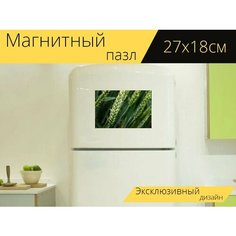 Магнитный пазл "Посевы, сельское хозяйство, зеленый" на холодильник 27 x 18 см. Lots Prints