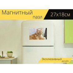 Магнитный пазл "Рыжий кот, зеленые глаза, кошачий" на холодильник 27 x 18 см. Lots Prints
