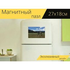 Магнитный пазл "Лошади, выпас, пастбище" на холодильник 27 x 18 см. Lots Prints